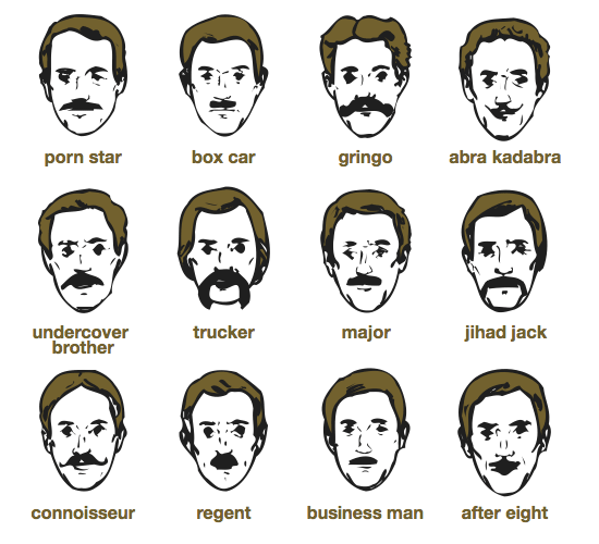 Moustaches come in all shapes an styles: the porn star, the box car, the gringo, the trucker, the major, the regent, and many, many more.